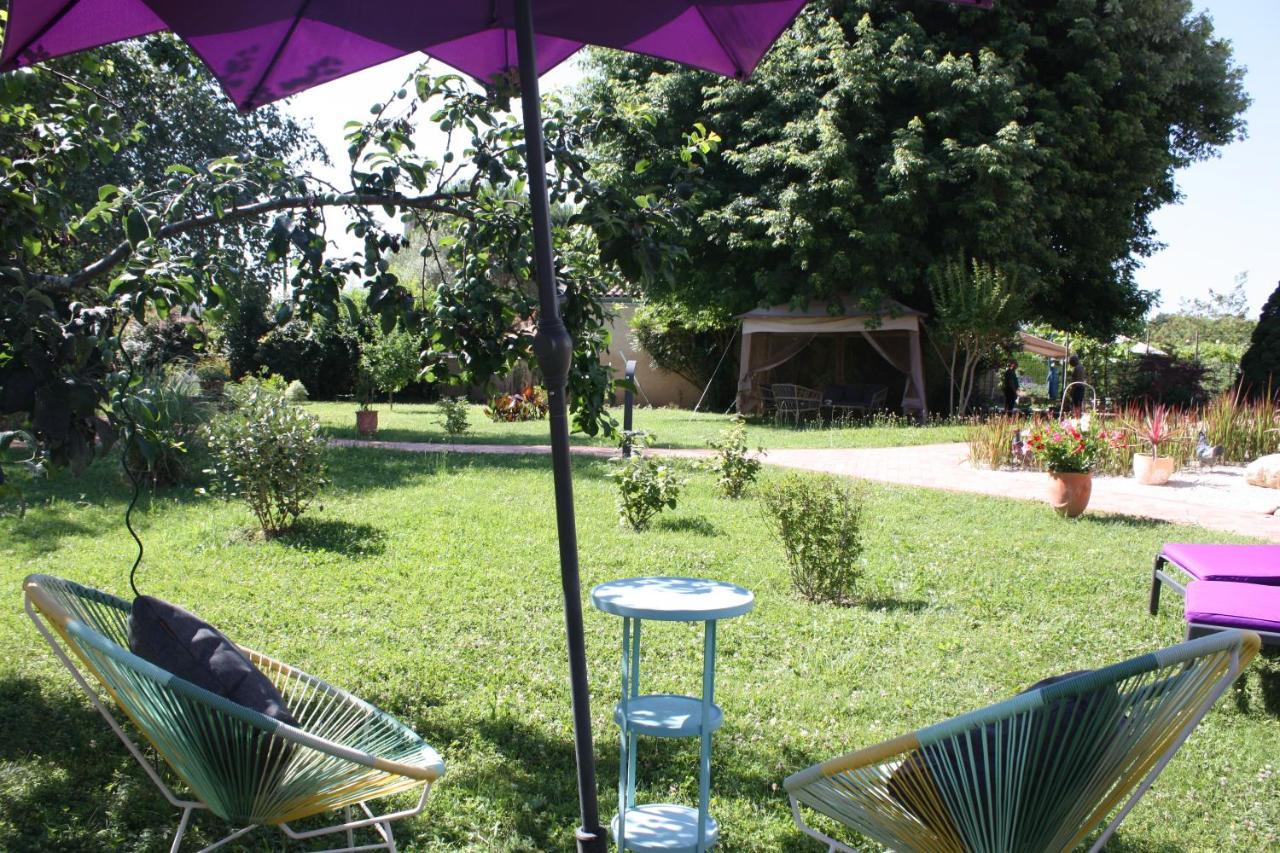 Appartement Les Milahinas à Lescure-dʼAlbigeois Extérieur photo